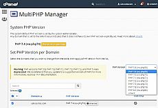 Image showing the MultiPHP manager settings